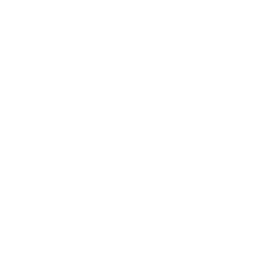 dress dress