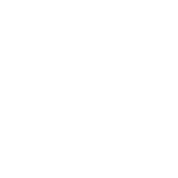 sunglasses sunglasses